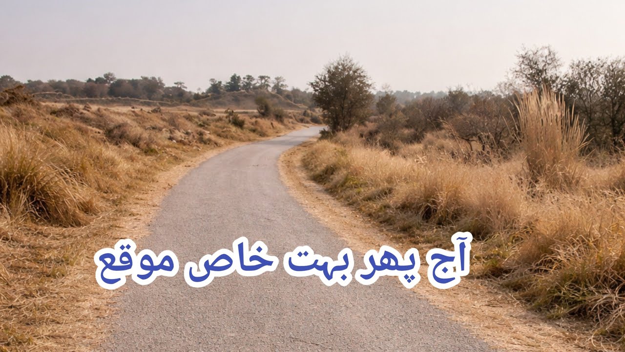 زرعی زمین برائے فروخت بہت نایاب خاص موٹروے پاس #farmland #viral #house #garden #viralvideo 