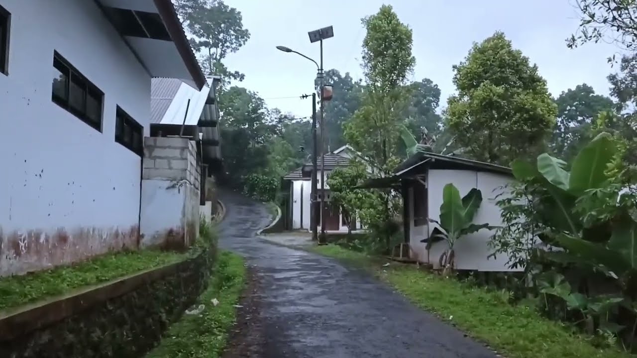 walking in very heavy rain and storm in  my village, asmr heavy rain and storm for insomnia