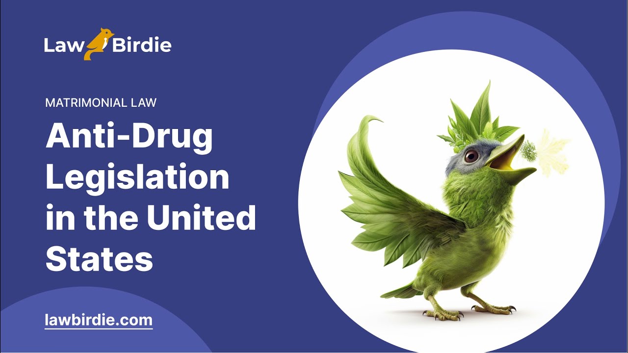 Anti-Drug Legislation in the United States - Essay Example