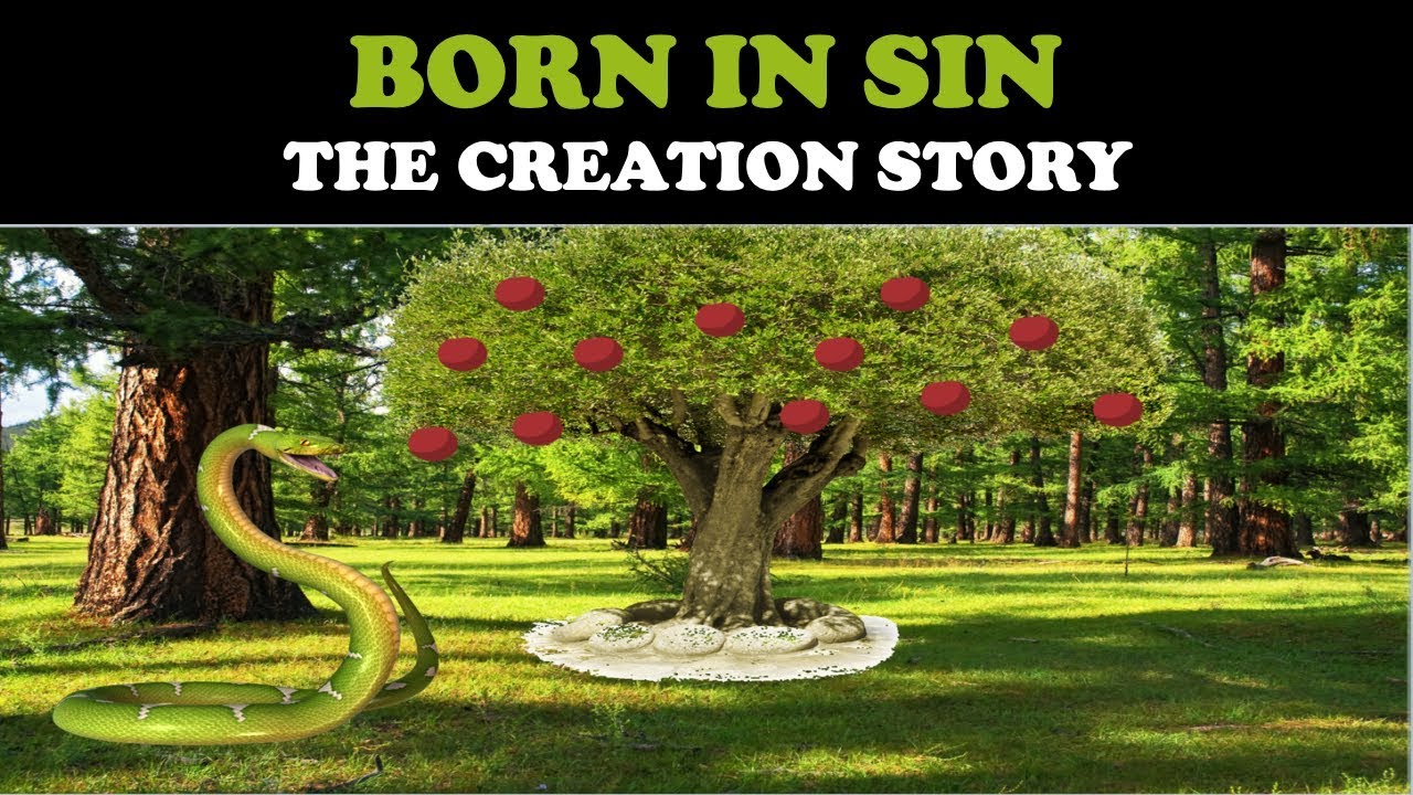 BORN IN SIN: THE CREATION STORY