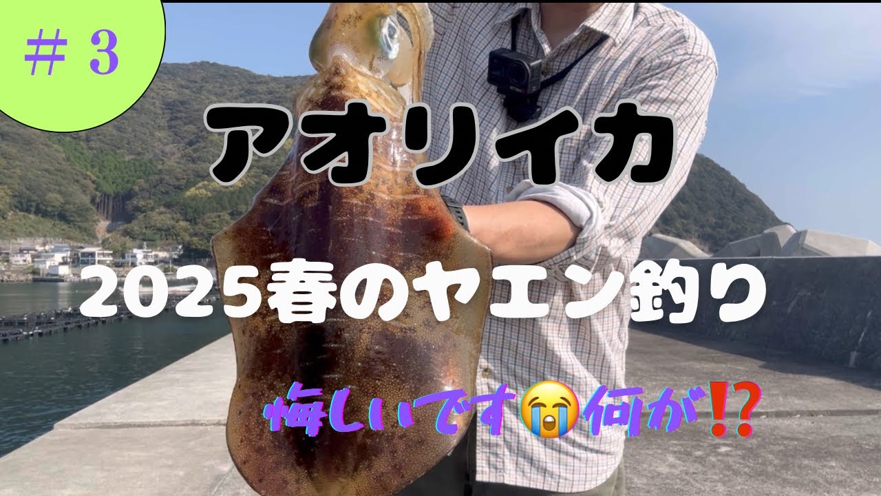 【アオリイカ】春のヤエン釣り　vol.3 #釣り#アオリイカ#ミズイカ#ヤエン#アジ#堤防#初心者