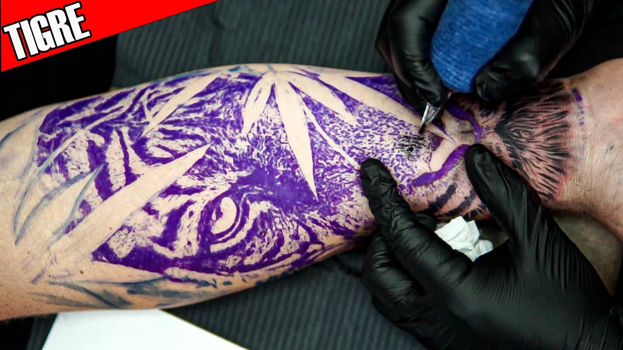 COMO TATUAR UM TIGRE EM REALISMO PRETO E CINZA