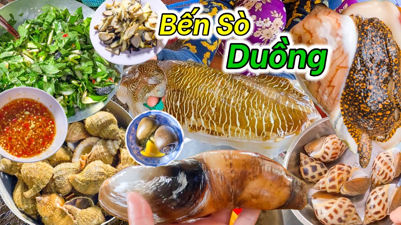 Dạo Bến Sò Chí Công Tìm Mua Hải Sản Ngon | Món Gỏi Ốc Vôi Đơn Giản Mà Ngon