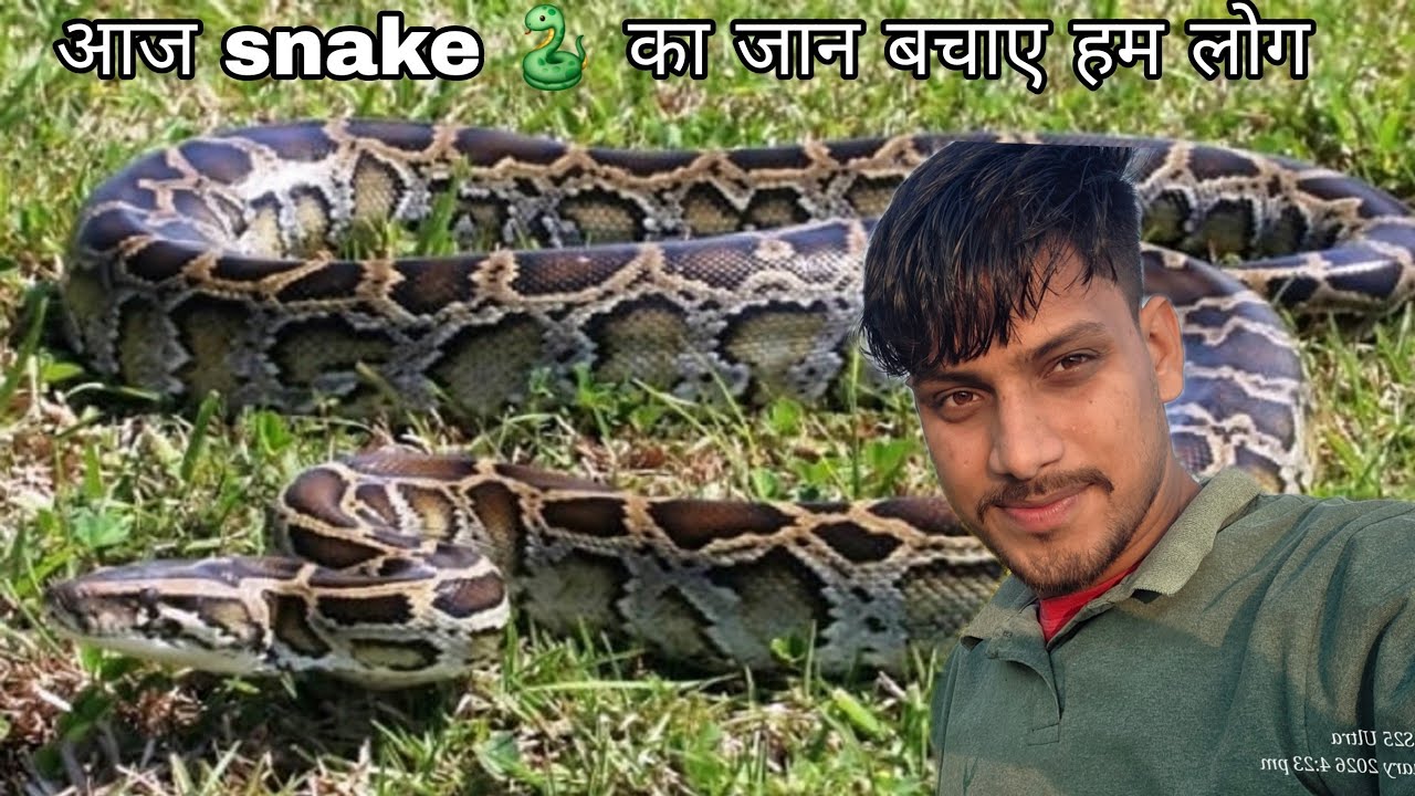 Aaj ak snake 🐍 ko कुआ se nikale uska jaan bachiye  6 महिना se gira tha कुआ me kuch maza v huaa😃😃
