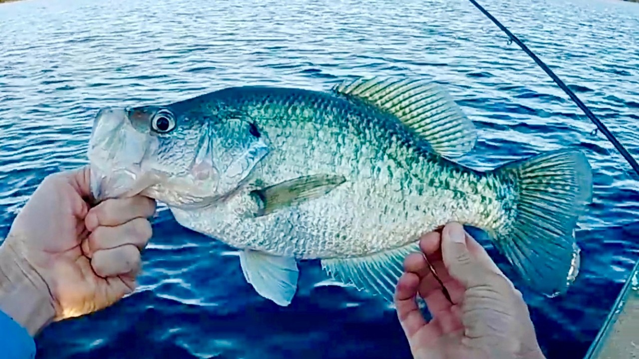 How I catch BIG Crappie in November 2 Baits 2 Days