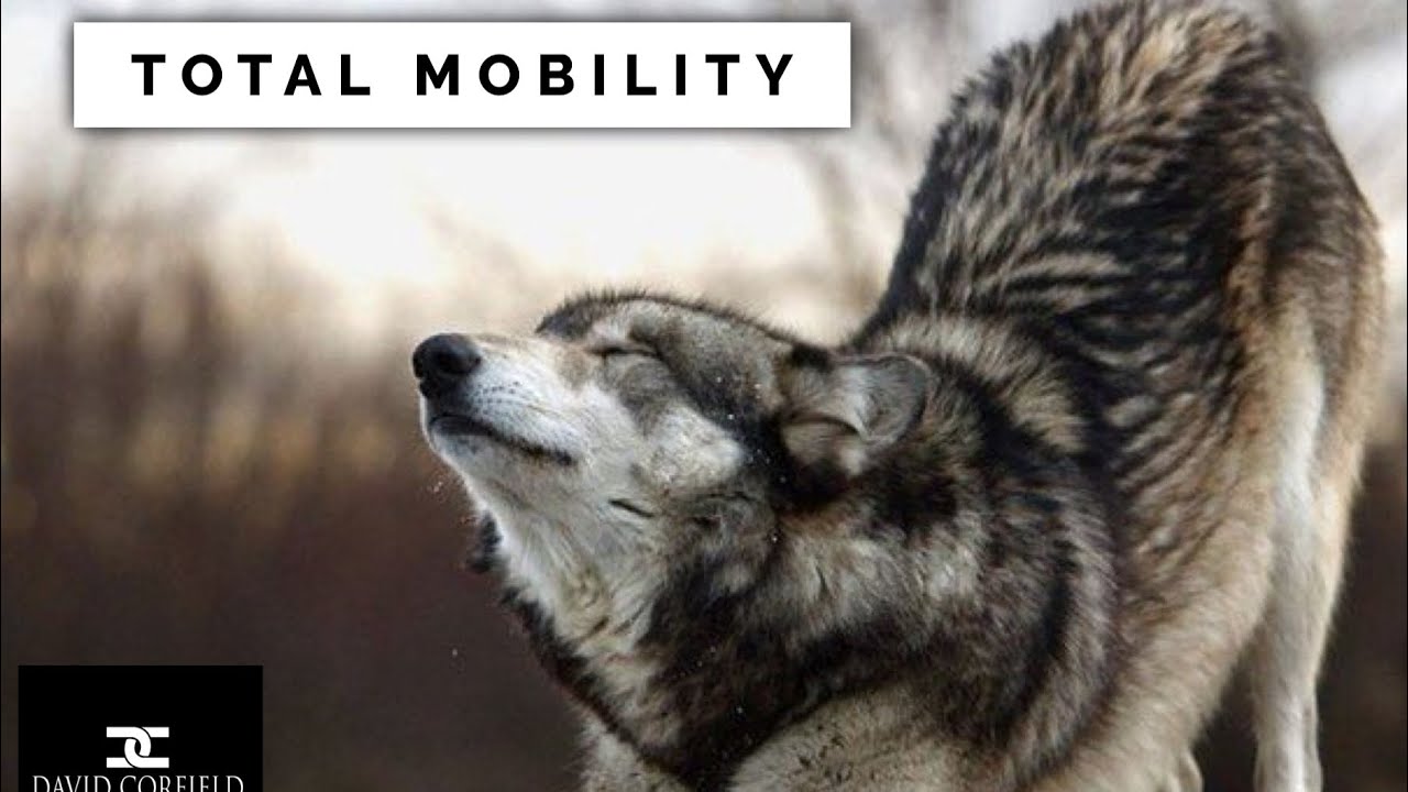 TOTAL MOBILITY 1 