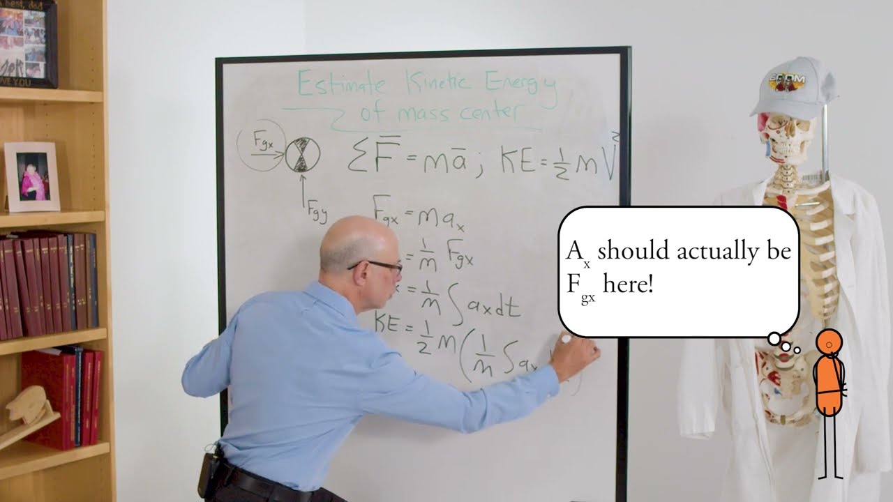 Biomechanics of Movement | Lecture 2.3: Energy Exchange Mechanisms in Walking