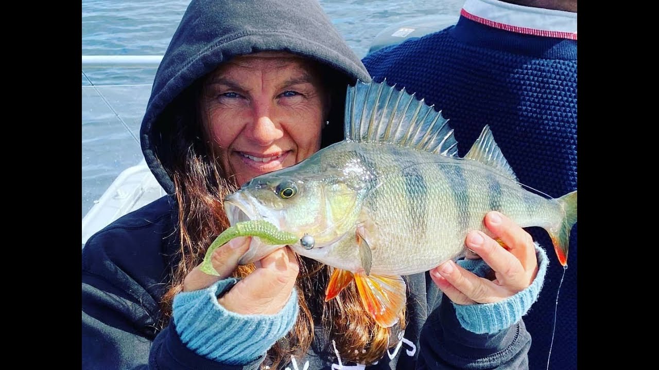 Abbor og ørretfiske på Mjøsa 25.april 2020