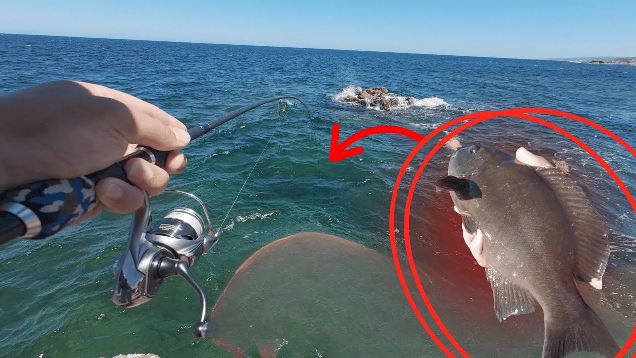 South West Fishing - Reef Fishing And Big Trevally?