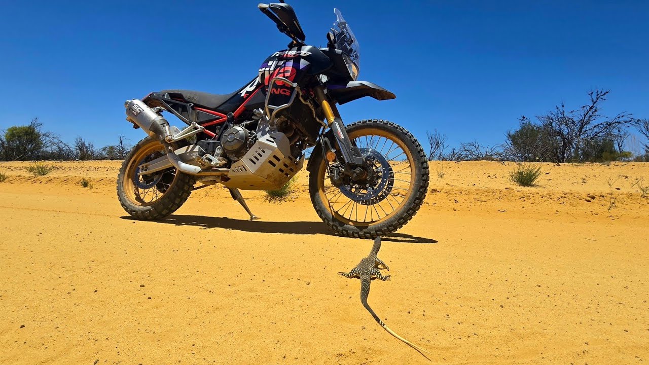 2025 on Two Wheels: The Highs, Lows, and Broken bones