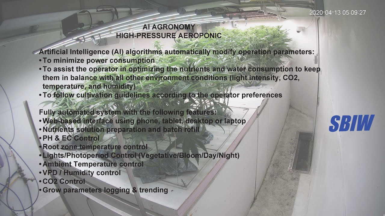 AI Agronomy   HP Aeroponic Time Lapse