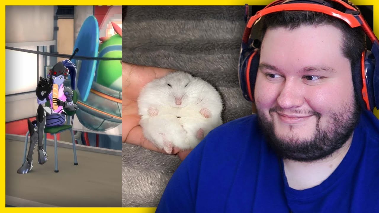 Flats REACTS to videos that cure the world through laughter