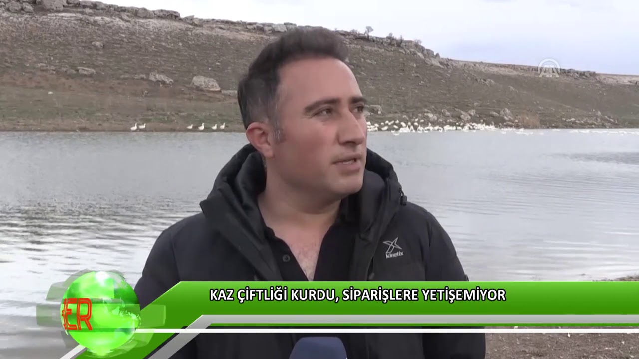 Kaz çiftliği kurdu, siparişlere yetişemiyor