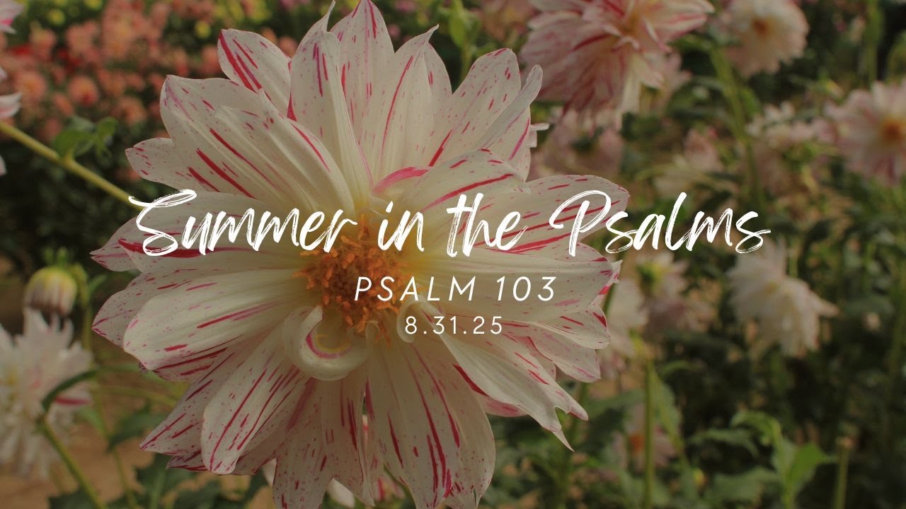 Summer in the Psalms - Psalm 103