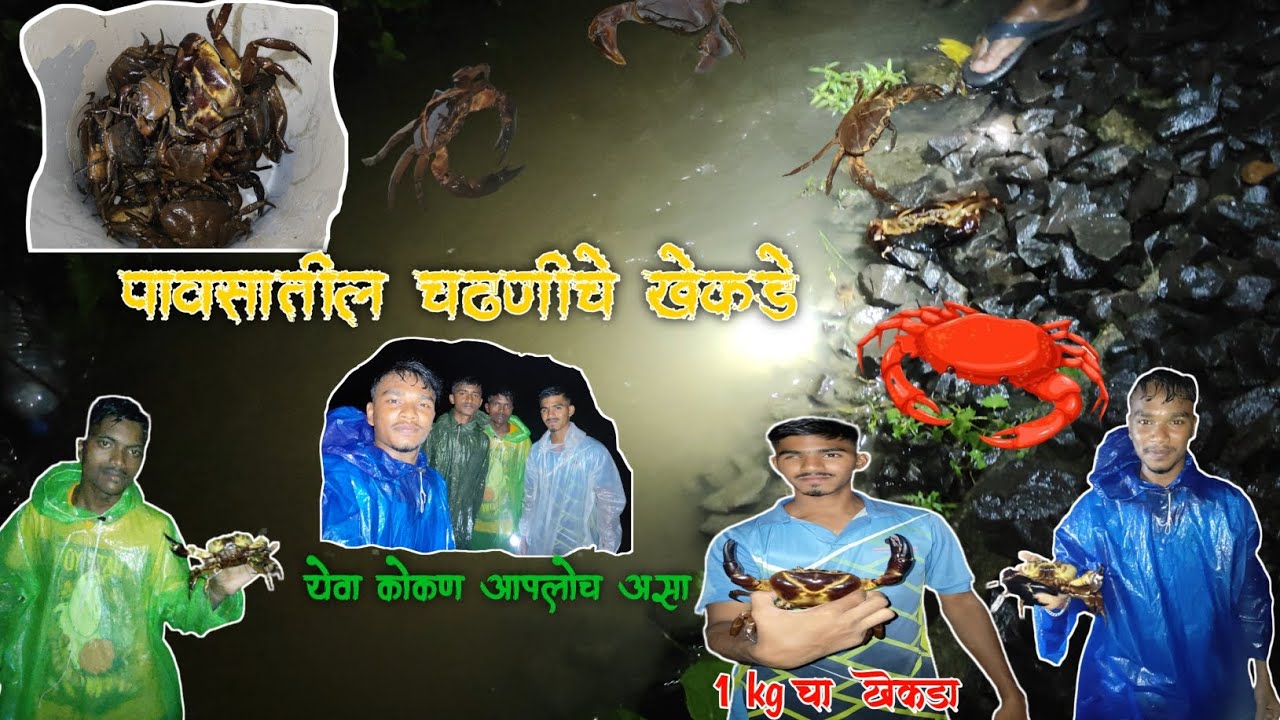 कोकणातील  पावसातील चढणीचे खेकडे | Crab Catching Kokan | #boys #kokan