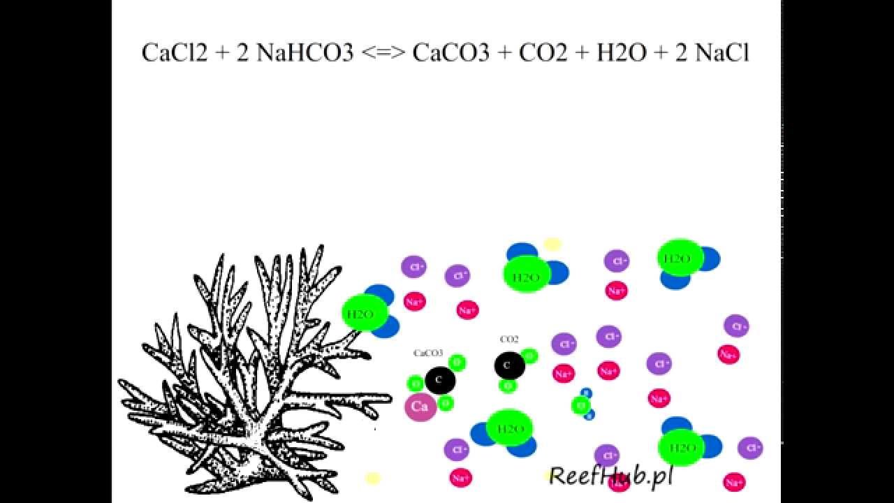 S&oacute;l bez soli - Metoda Ballinga