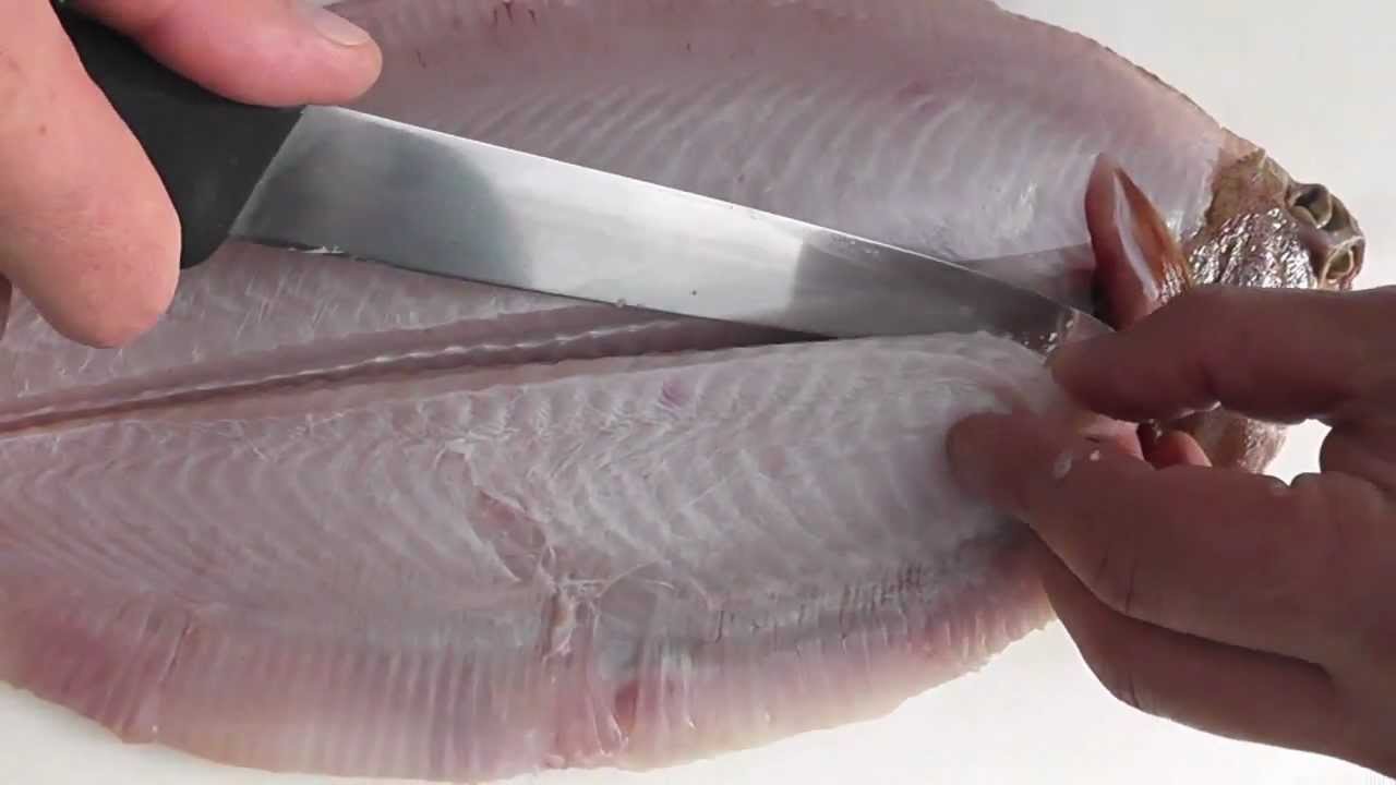 Passionate About Fish - How to skin & quarter-cut fillet a Lemon Sole