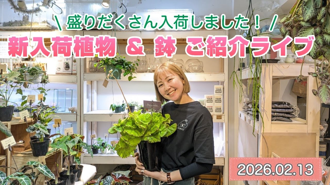 【新入荷植物＆鉢ご紹介ライブ】2026.02.13
