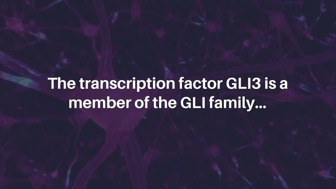 A Novel Regulatory Mechanism of GLI3 by Toll-like Receptor Signaling | Oncotarget
