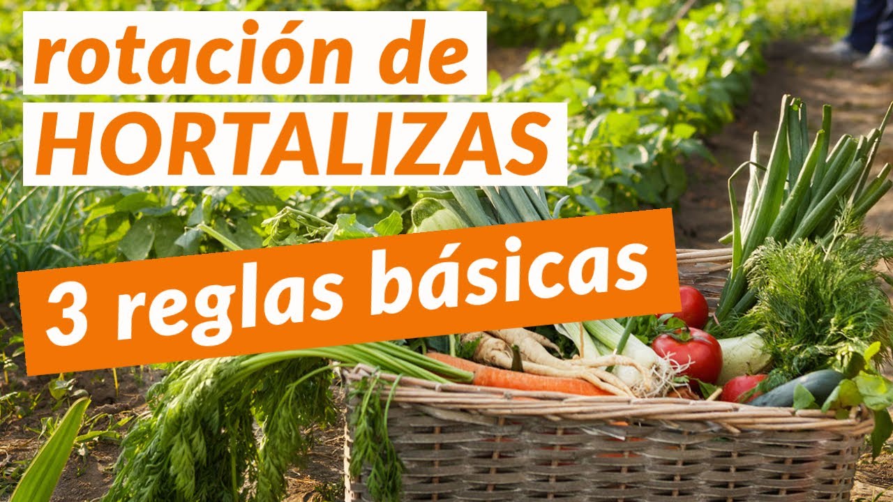3 reglas básicas para la ROTACIÓN DE HORTALIZAS 💪🏽  ***fundamental***