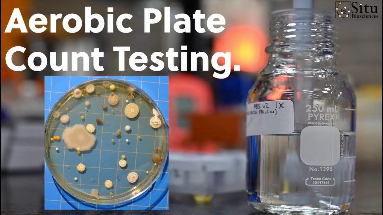Aerobic Plate Count Testing - Introduction