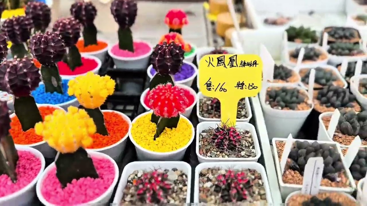 【綠色旅遊2026】～甦醒