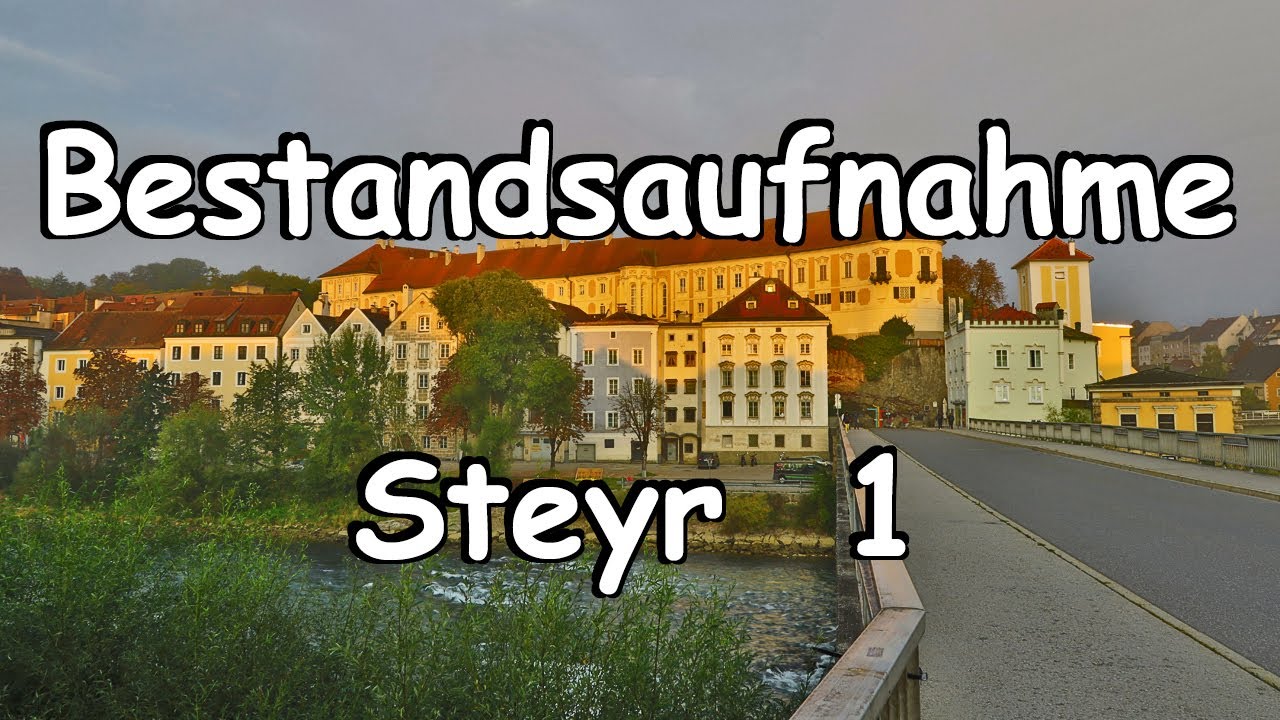Bestandsaufnahme - Steyr 1