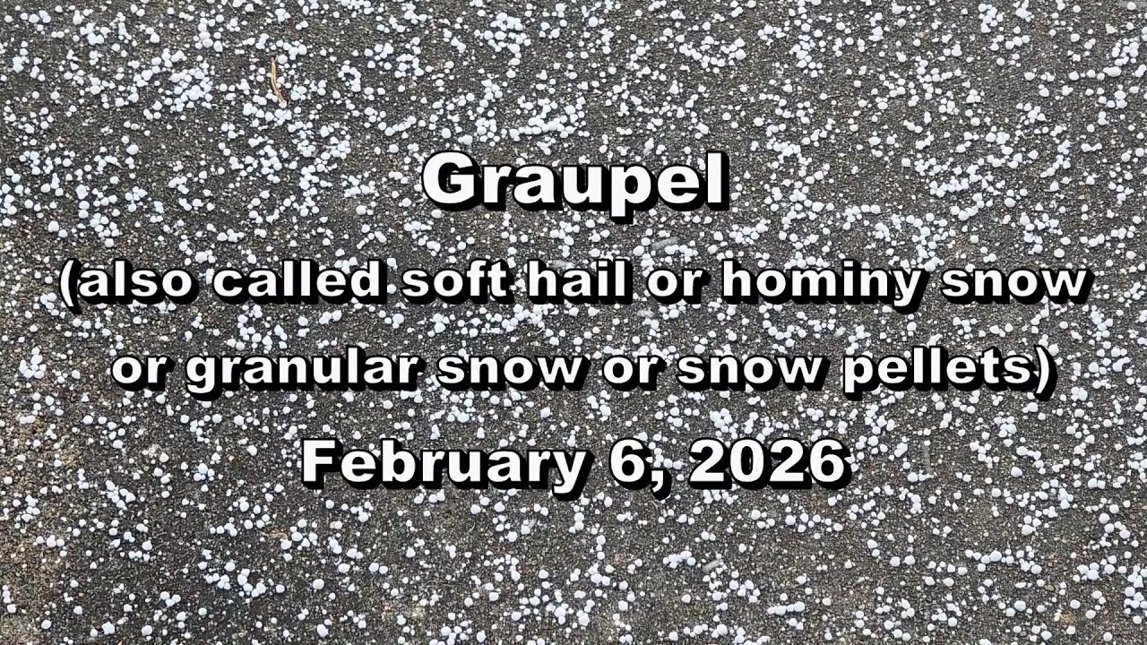 Graupel 2026-02-06