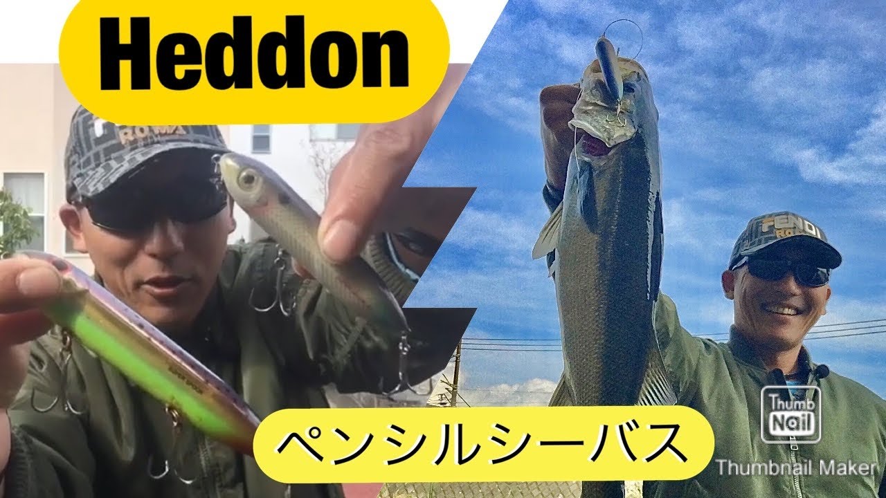Heddonペンシルべイトで狙う【デイゲーム】シーバストップウォーターフィッシング　@湘南