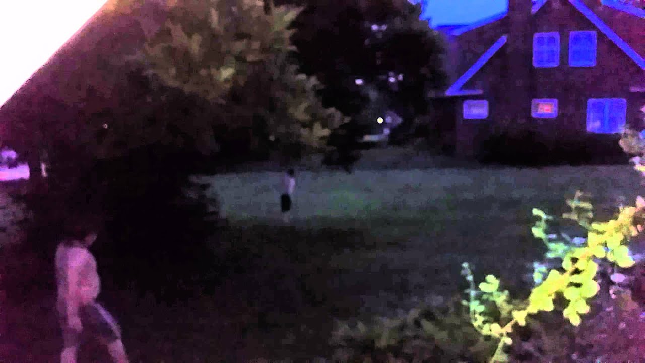 Lightning bugs! Well, maybe.