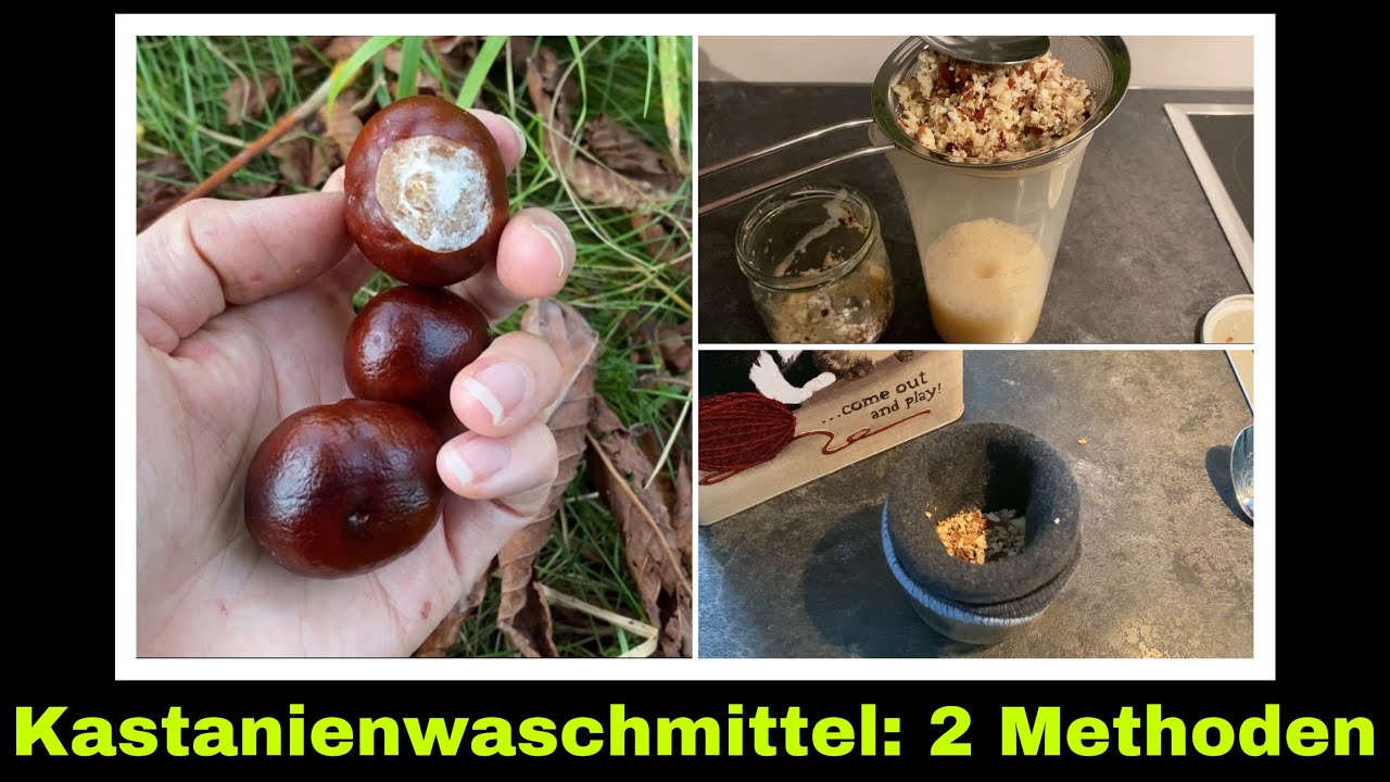 Kastanien Waschmittel haltbar machen | Waschen mit natürlichen Seifenstoffen