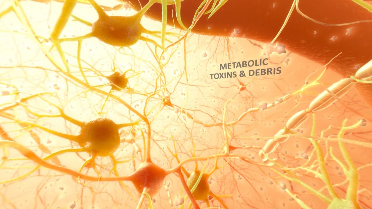 The healing benefits of sleep | 360&deg; medical animation