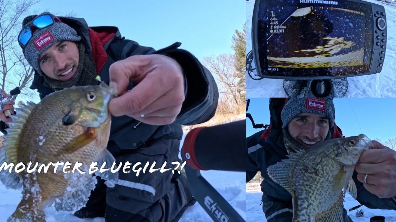 Ice Fishing a New HONEY HOLE (Scouting Mission On WI Rivers ✅)