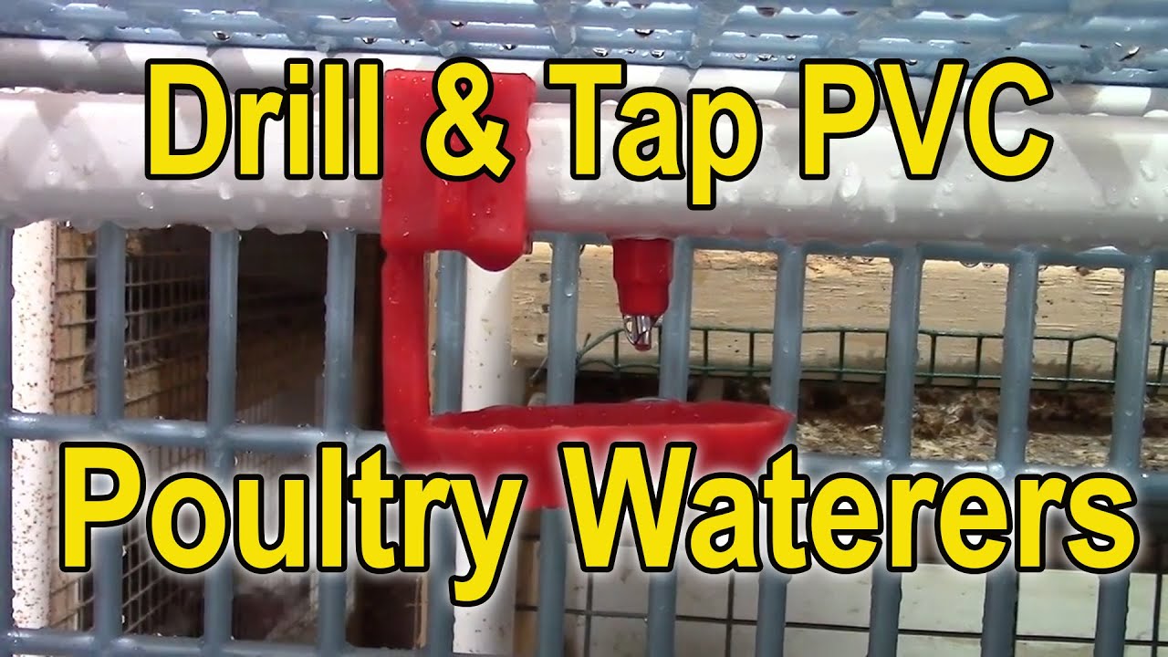 Quail Waterers - How to Drill & Tap PVC