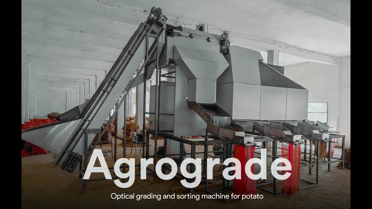 Potato optical grading sorting machine