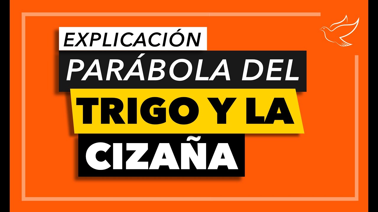 Parábola del Trigo y la Cizaña | Explicación