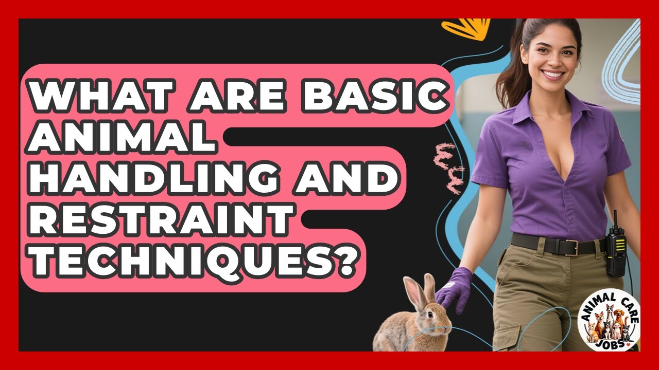 What Are Basic Animal Handling And Restraint Techniques? - Animal Care Jobs