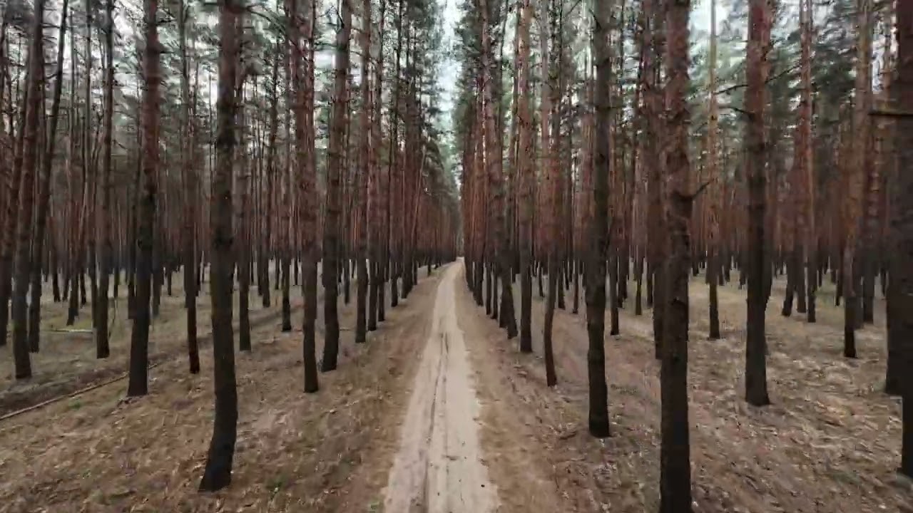 VPF Video avata 2