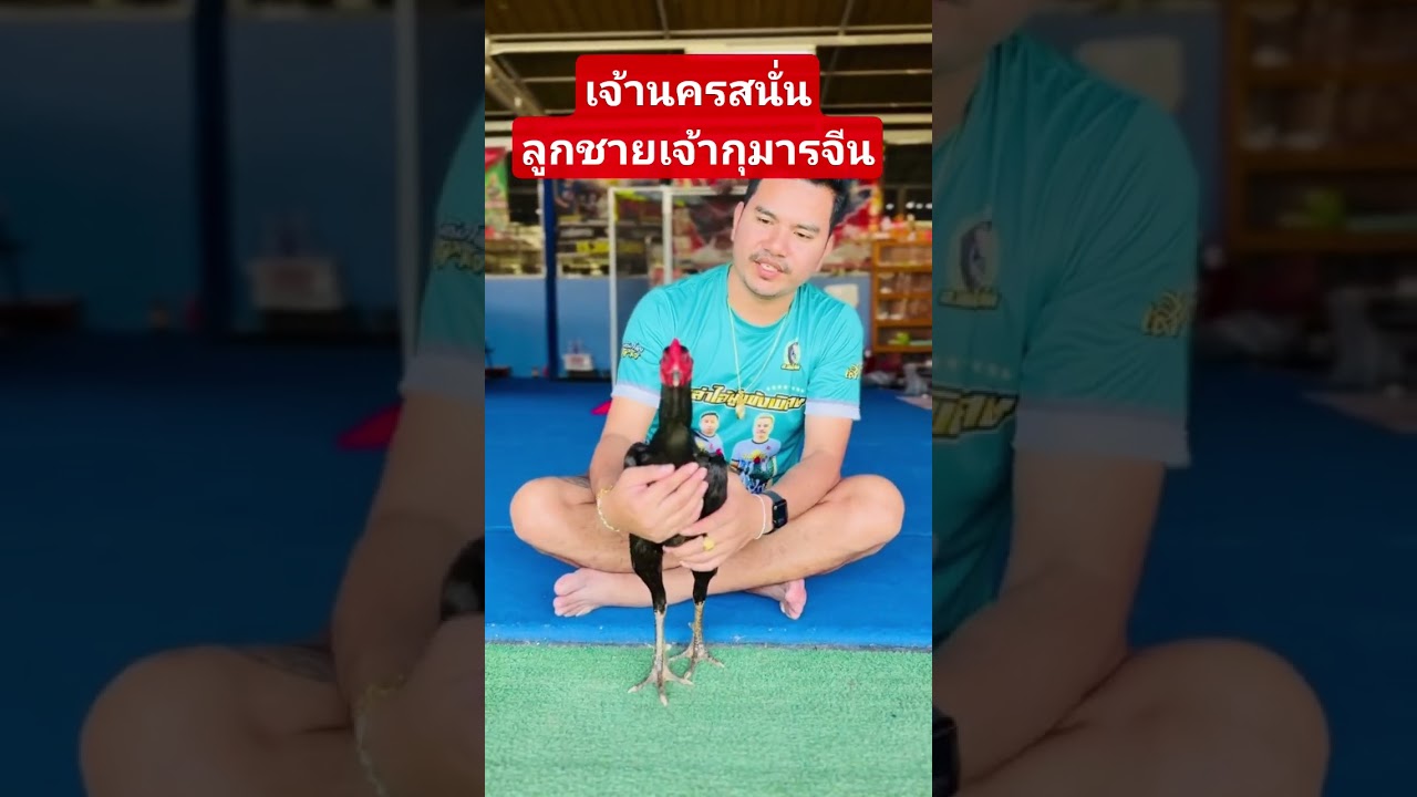 เจ้านครสนั่นเหมือนพ่อกุมารจีนมากเสี่ยขาวส.สนั่นฟาร์มการันตี #เจ้ากุมารจีน #เจ้านครสนั่น #สสนั่นฟาร์ม