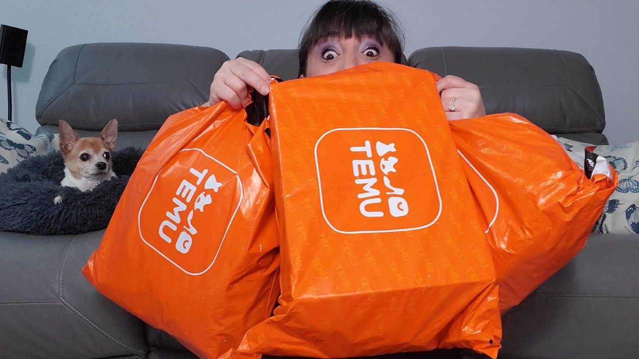 TEMU Haul | 3/27/23 | Even More Random Items