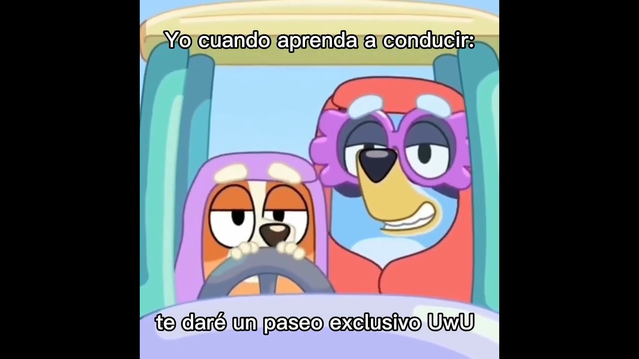 son 500 varos UwU 
