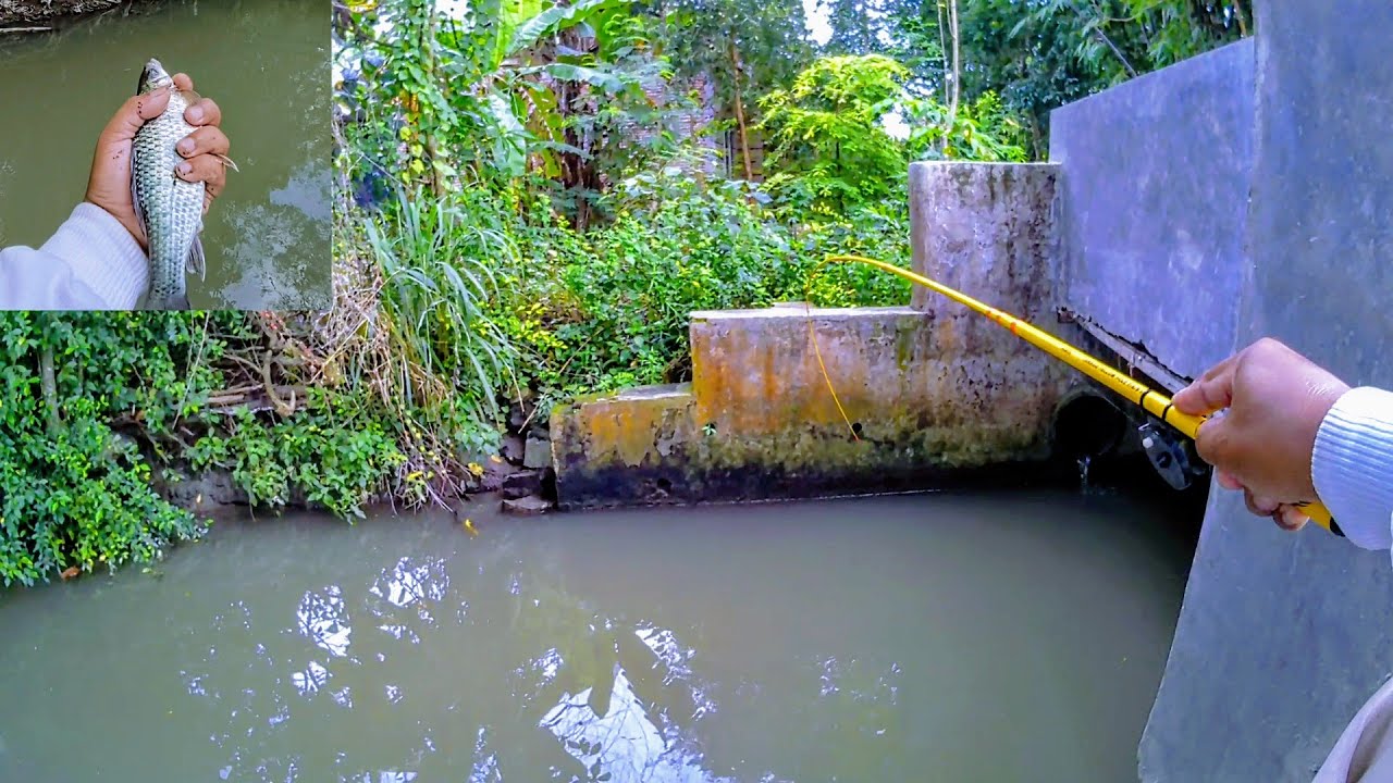 Mancing wader malah dapat babon!!