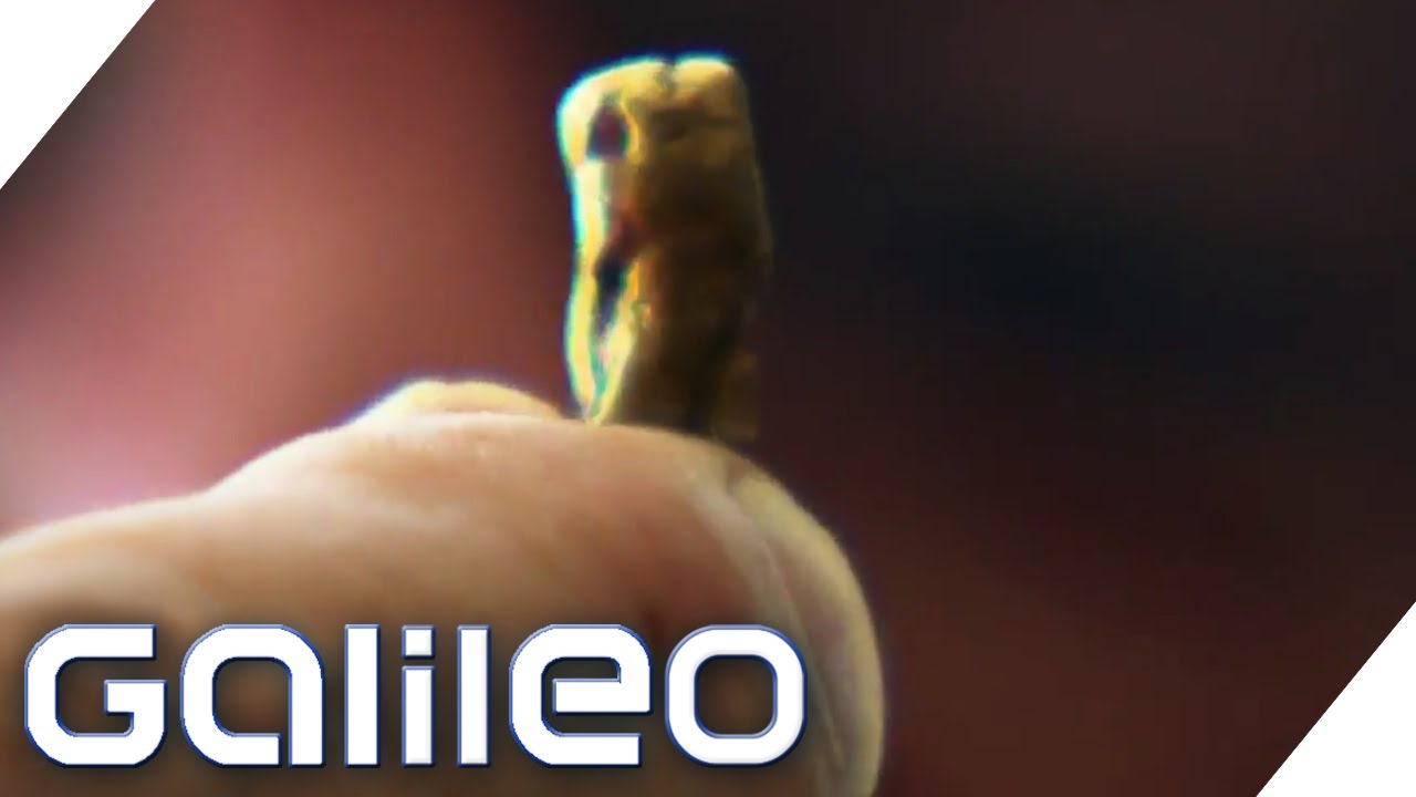 Ein Leben als Goldgr&auml;ber | Galileo | ProSieben