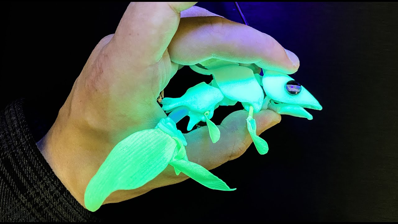 TINY Glowing fish!