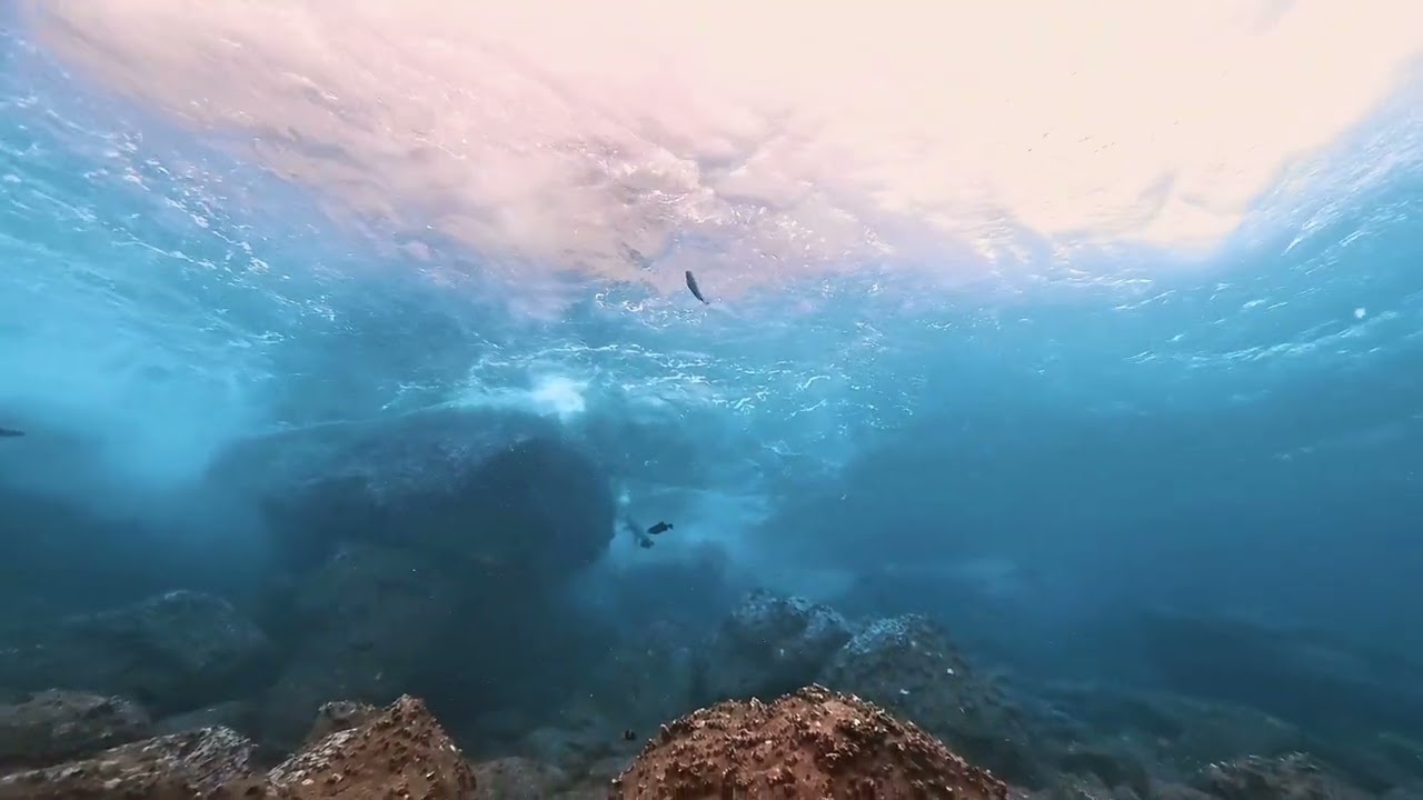 Galapagos 2024 - Tiburon Explorer