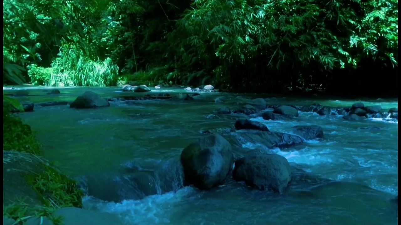 Beautiful Relaxing River  Nature Sounds Sleep Meditation Study Stress Relief Mindfulness