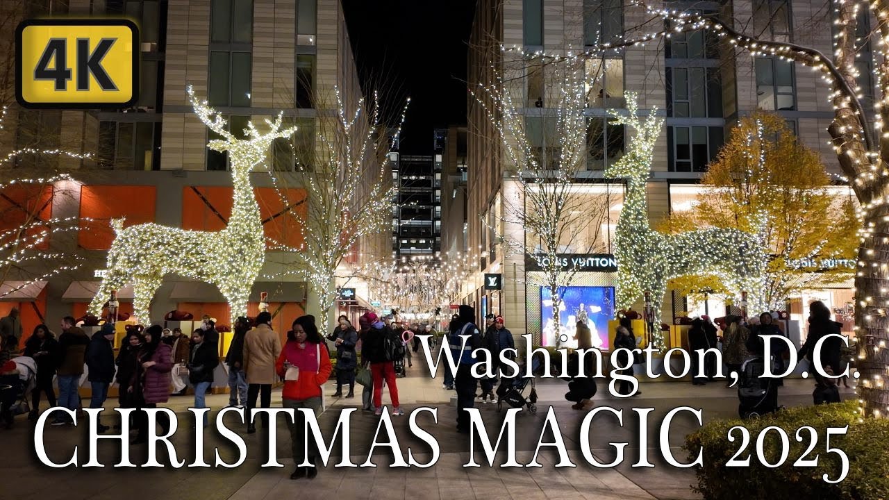 🇺🇸 CityCenterDC Christmas Tree Opening 2025 & Fireworks! Washington DC Holiday Magic🎄