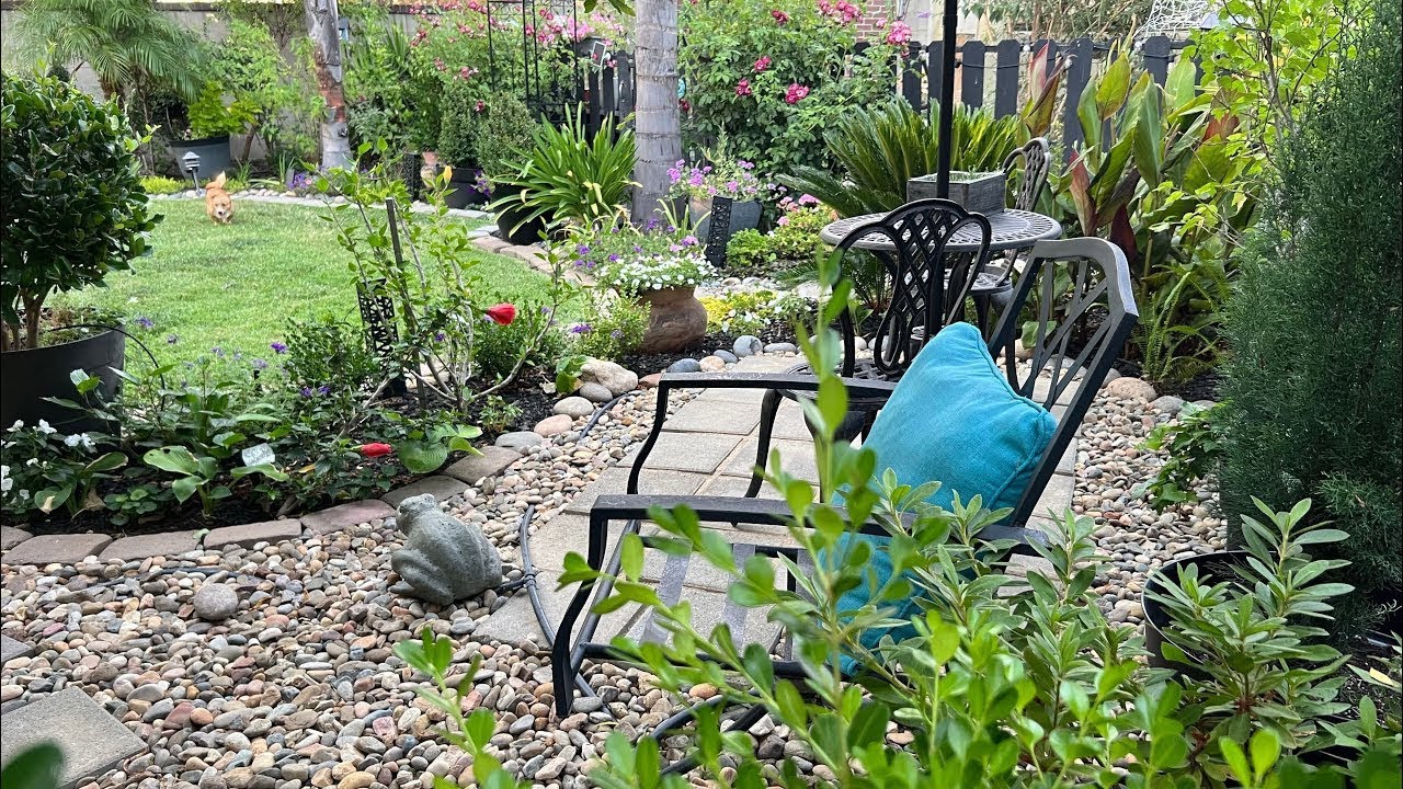 Late August Garden Tour 🌸 | Relaxing Walk + Inspiration for Garden Lovers