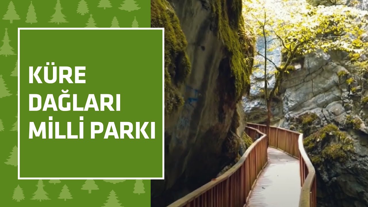 Küre Dağları Milli Parkı