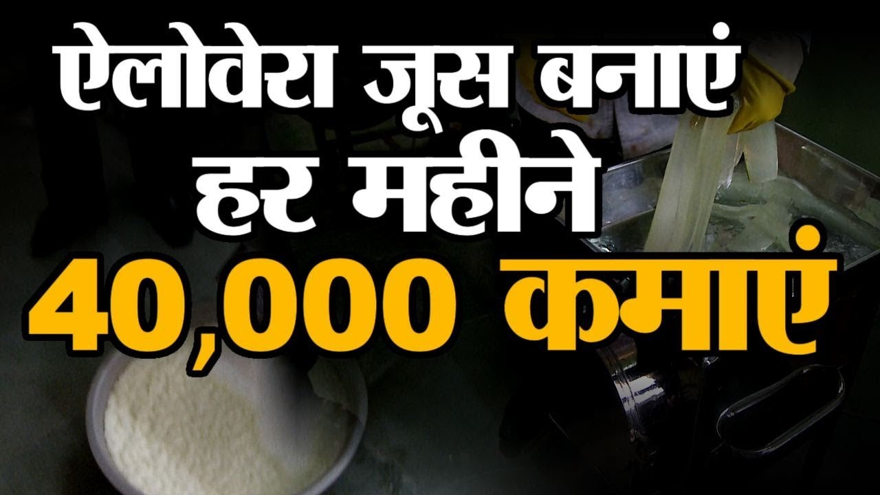 How To Make and Use Aloe Vera Juice For Benefits | Aloe Vera Processing | Aloe Vera Processing Unit